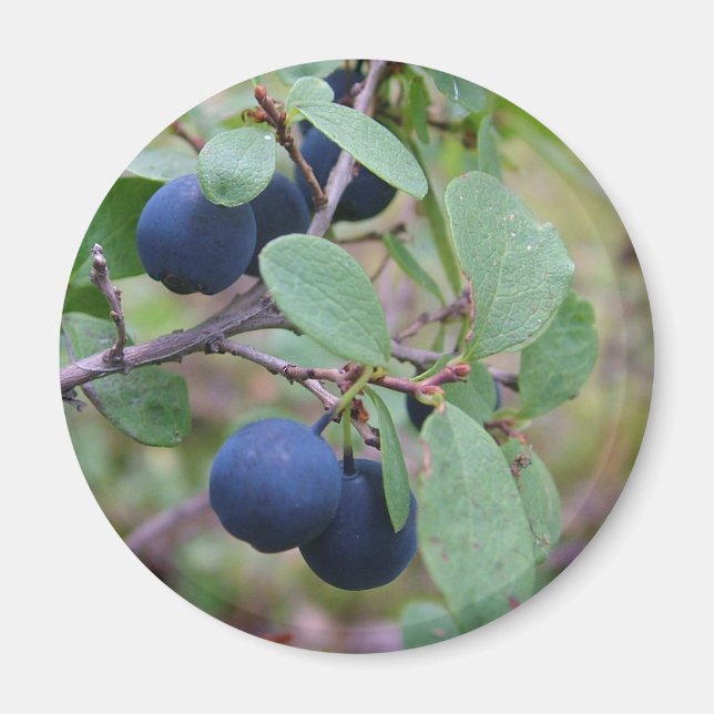 Vild Berries magnet (Framsidan)