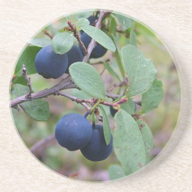Vild Berries underlägg (Framsidan)