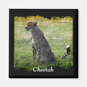 Vild Big Cats Animal-älskare Design Magnet