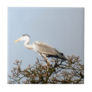 VILD BIRD HERON KAKELPLATTA