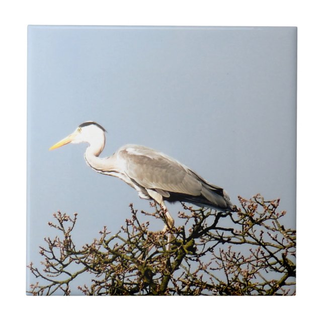 VILD BIRD HERON KAKELPLATTA (Framsidan)