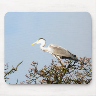 VILD BIRD HERON MUSMATTA