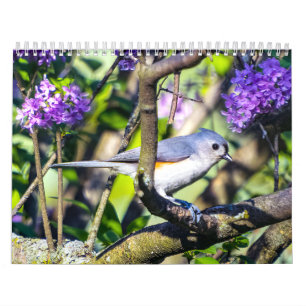 Vild Bird Photo Calendar Kalender