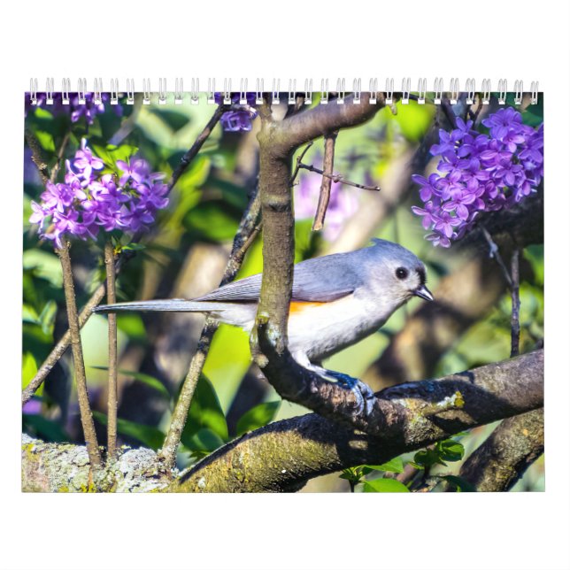 Vild Bird Photo Calendar Kalender (Omslag)