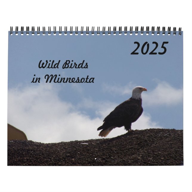Vild Birds in Minnesota 2025 Calendar Kalender (Omslag)