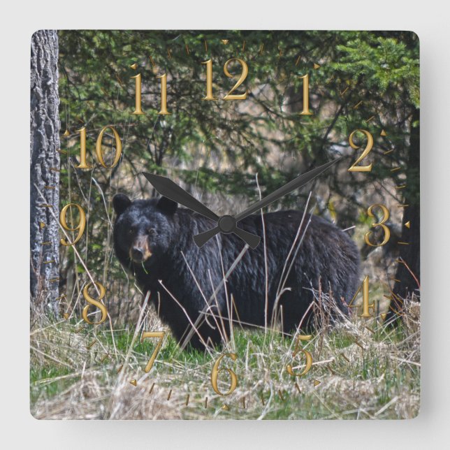 Vild Black Bear & Forest Wildlife Photo Wall Clock Fyrkantig Klocka (Framsida)