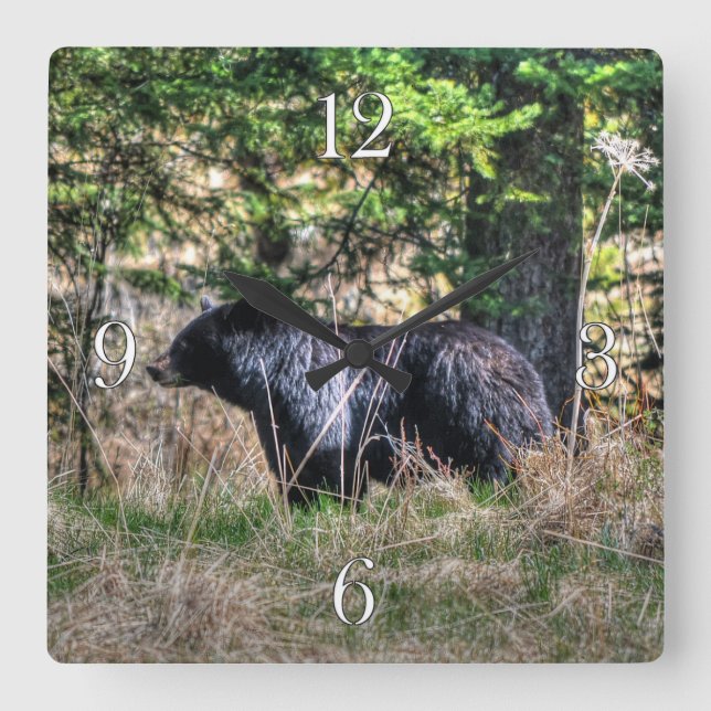 Vild Black Bear & Forest Wildlife Photo Wall Clock Fyrkantig Klocka (Framsida)