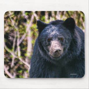 Vild Black Bear och Träd Wildlife Art Musmatta
