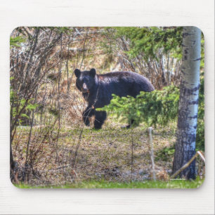 Vild Black Bear och Träd Wildlife Photo Musmatta
