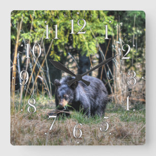 Vild Black Bear Unge & Forest Wildlife Photo Clock Fyrkantig Klocka