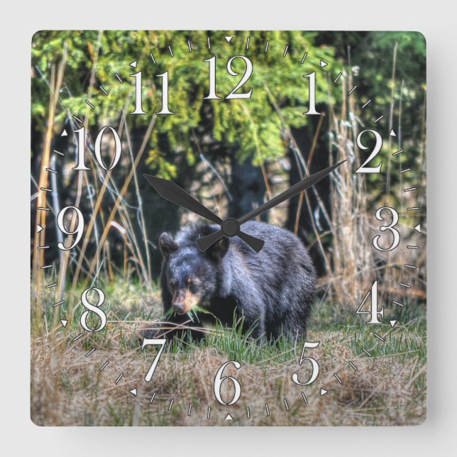 Vild Black Bear Unge & Forest Wildlife Photo Clock Fyrkantig Klocka (Framsida)