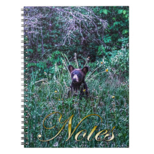 Vild Black Bear Unge Wildlife Photo Anteckningsbok Med Spiral