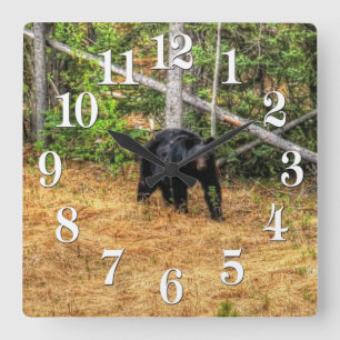 Vild Black Bear & Yukon Forest Photo Art Fyrkantig Klocka
