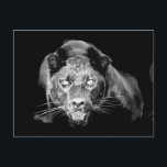 Vild Black Jaguar Cat Ögon vykort<br><div class="desc">Jaguar Roars Digital Art - Wildlife Computer Design - Vilda djur Artworks - Fantasy Art - Jaguar - Black Panther Öga - Jaguar - Black Panther Ansikte Close-Up - Close Jaguar - Black Panther Head - Porträtt of Vild Jaguar - Black Panther Pop Art Bild</div>