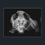 Vild Black Jaguar Cat Ögon vykort<br><div class="desc">Jaguar Roars Digital Art - Wildlife Computer Design - Vilda djur Artworks - Fantasy Art - Jaguar - Black Panther Öga - Jaguar - Black Panther Ansikte Close-Up - Close Jaguar - Black Panther Head - Porträtt of Vild Jaguar - Black Panther Pop Art Bild</div>