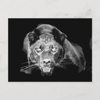 Vild Black Jaguar Cat Ögon vykort