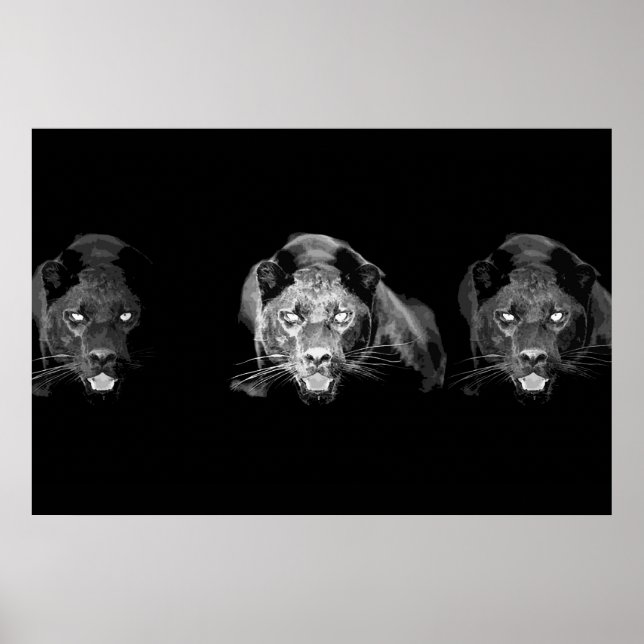 Vild Black Panther Jaguar Cat Ögon Black & White Poster (Framsidan)