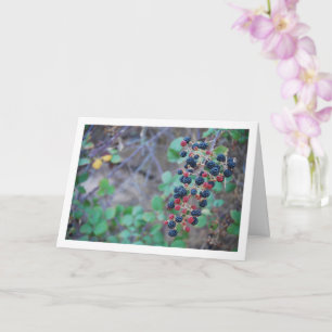 Vild Blackberry Fruit Kort
