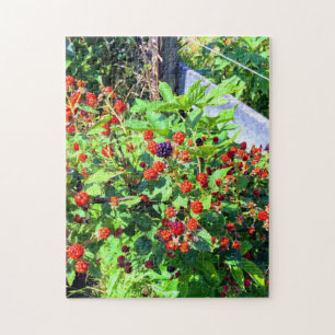 Vild Blackberry Patch Pussel