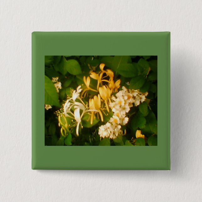 Vild Blåknapp för honeysuckle i Ro Knapp (Framsida)