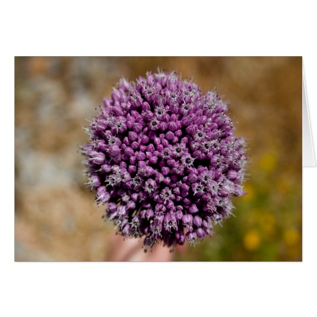 Vild blomma hälsningskort (Framsidan Horizontal)