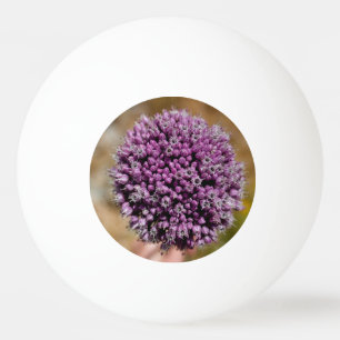 Vild blomma pingisboll