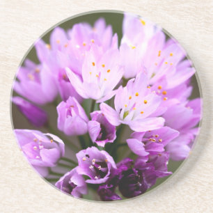 Vild blomma underlägg sandsten