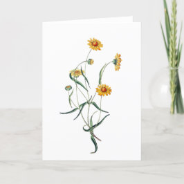 Vild-Blommor för Daisy med stor Gult Tack Kort