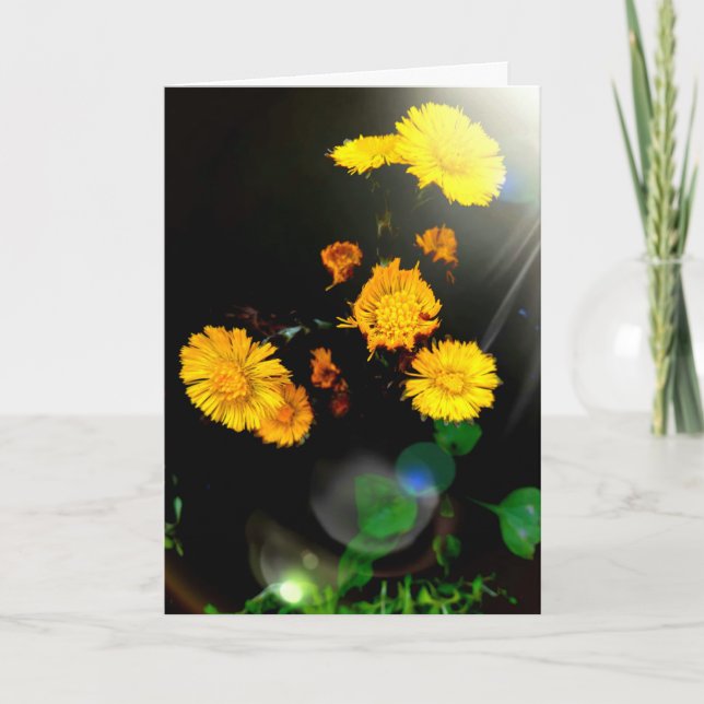 Vild blommor i solljus kort (Framsida)