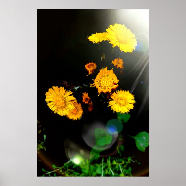 Vild blommor i solljus poster (Framsidan)