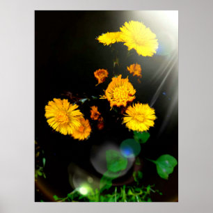 Vild blommor i solljus poster