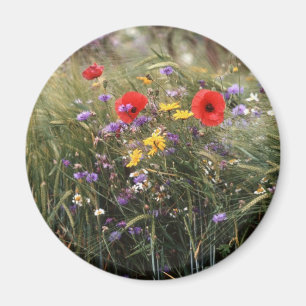 Vild blommor magnet