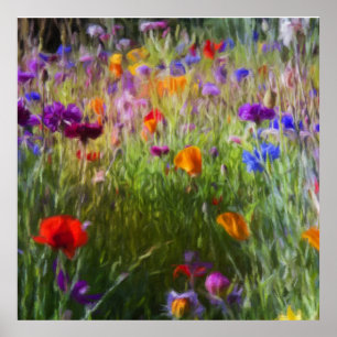 Vild, blommor, snittblommor och vallmo poster