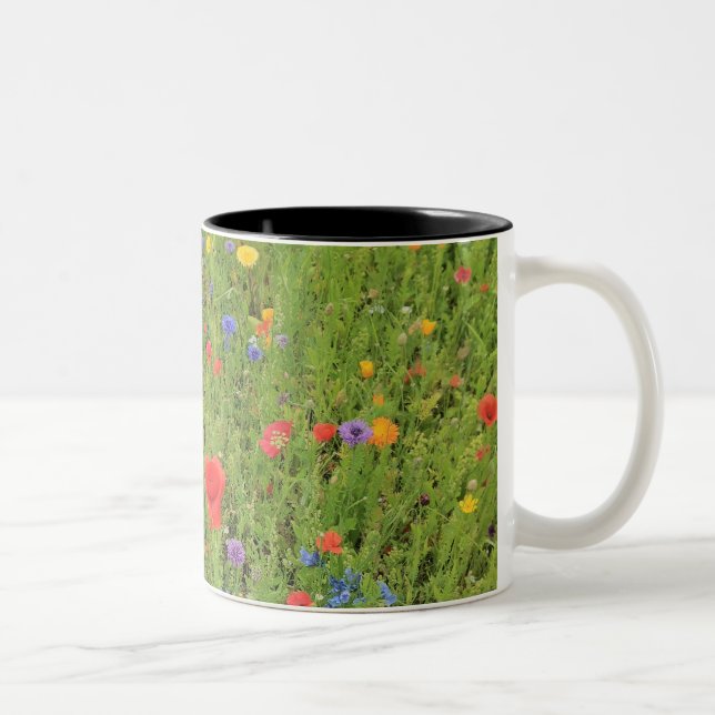 Vild blommor Vår Photo Two-Tone Mugg (Höger)