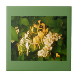 Vild Blooming Ro Honeysuckle Ceramic Tile Kakelplatta