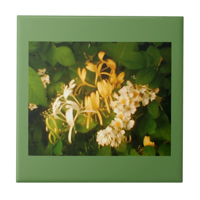 Vild Blooming Ro Honeysuckle Ceramic Tile Kakelplatta (Framsidan)