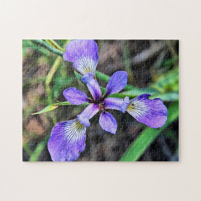 Vild Blue Iris Large Photo Puzzle Pussel (Horisontell)