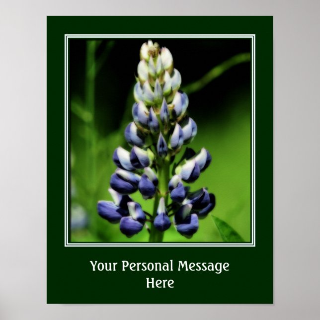 Vild Blue Lupine Flower Personlig Poster (Framsidan)