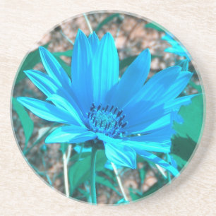 Vild Blue Solros Underlägg