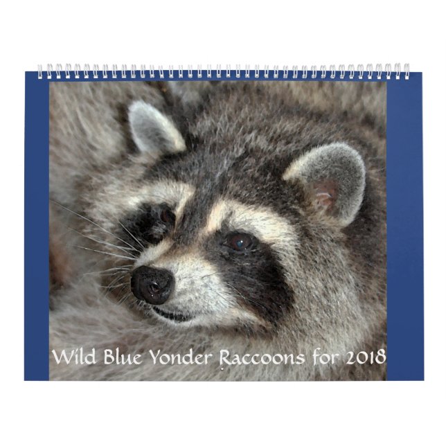 Vild Blue Yonder Raccoons från 2018 Kalender (Omslag)
