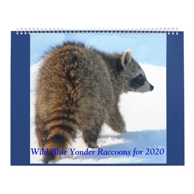 Vild Blue Yonder Raccoons från 2019 Kalender (Omslag)