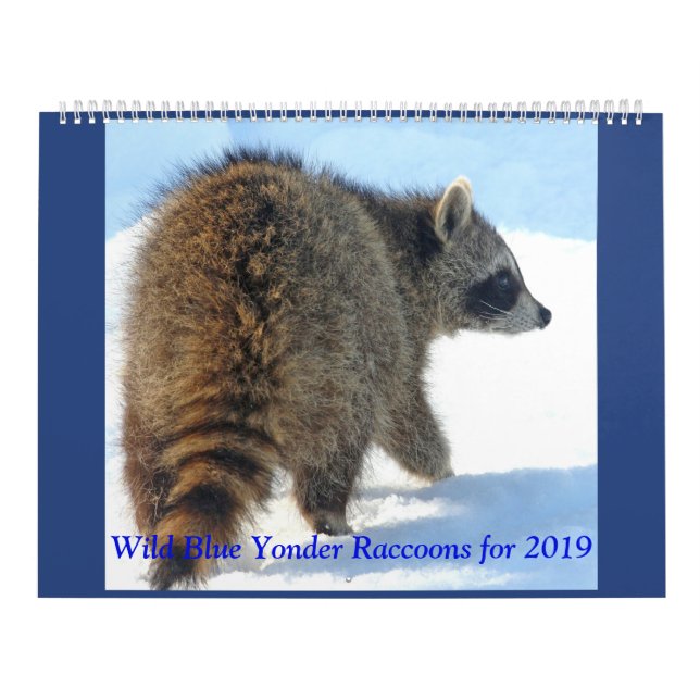 Vild Blue Yonder Raccoons från 2019 Kalender (Omslag)