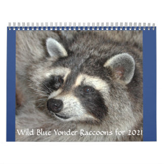 Vild Blue Yonder Raccoons of 2021 Calendar Kalender