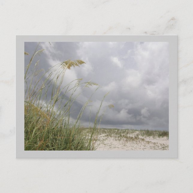 vild Blue Yonder Vykort (Framsida)