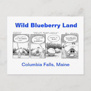 Vild Blueberry Land Vykort