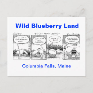 Vild Blueberry Land Vykort