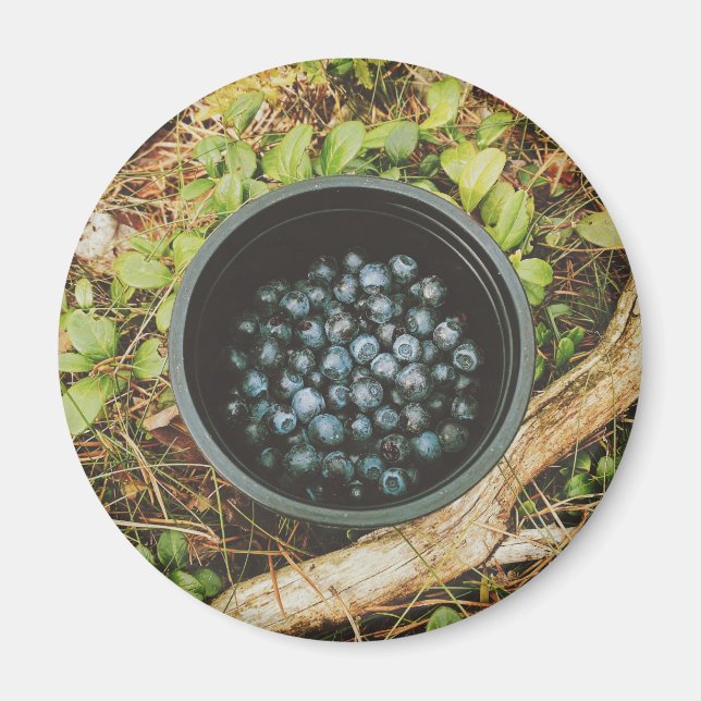 Vild Blueberry Picking Magnet (Framsidan)