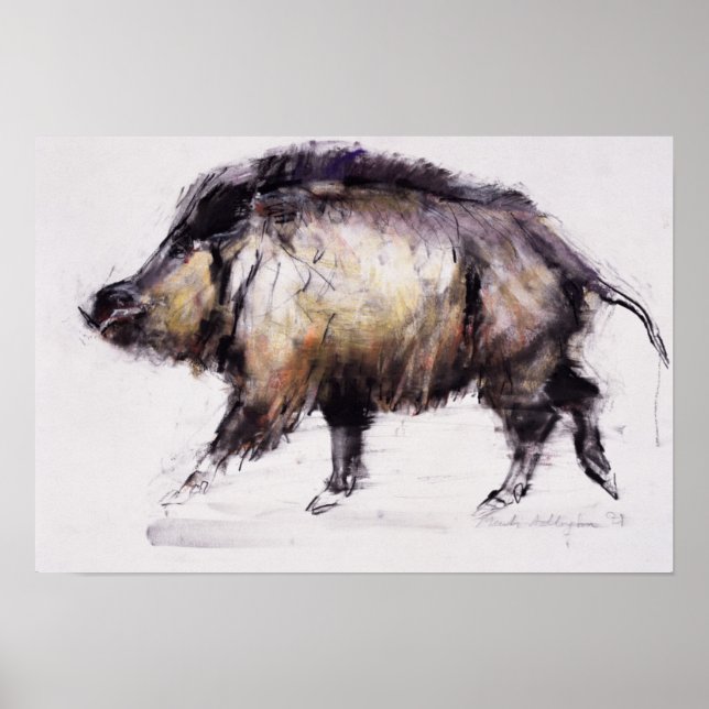 Vild Boar 1999 Poster (Framsidan)