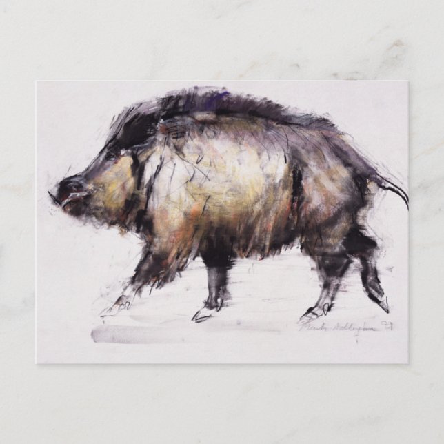 Vild Boar 1999 Vykort (Framsida)