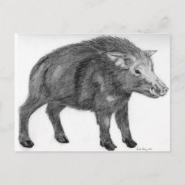 Vild Boar, försvarsställning Vykort